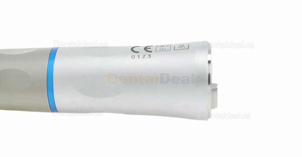 BEING 202SHBW Dental Straight Surgical Handpiece with LED Light